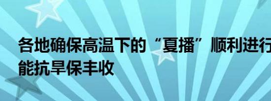 各地确保高温下的“夏播”顺利进行 科技赋能抗旱保丰收