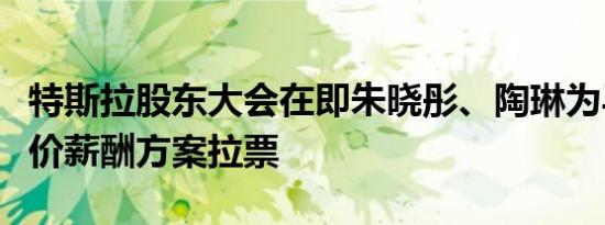 特斯拉股东大会在即朱晓彤、陶琳为马斯克天价薪酬方案拉票