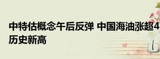 中特估概念午后反弹 中国海油涨超4%股价创历史新高