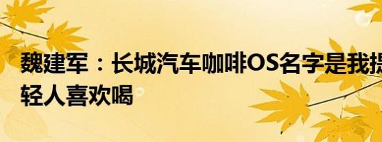 魏建军：长城汽车咖啡OS名字是我提倡的 年轻人喜欢喝