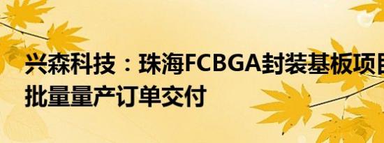 兴森科技：珠海FCBGA封装基板项目已有小批量量产订单交付