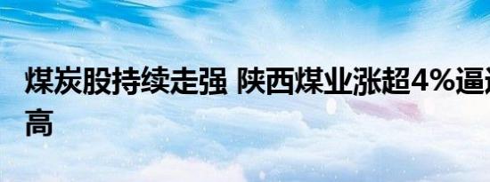 煤炭股持续走强 陕西煤业涨超4%逼近历史新高