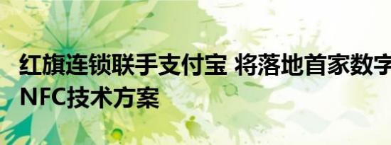 红旗连锁联手支付宝 将落地首家数字化支付+NFC技术方案