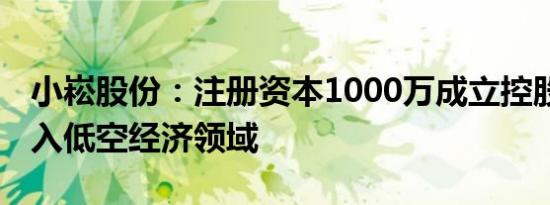 小崧股份：注册资本1000万成立控股公司 切入低空经济领域