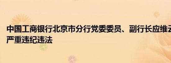 中国工商银行北京市分行党委委员、副行长应维云被查 涉嫌严重违纪违法