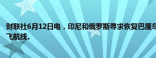 财联社6月12日电，印尼和俄罗斯寻求恢复巴厘岛-莫斯科直飞航线。