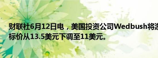 财联社6月12日电，美国投资公司Wedbush将游戏驿站目标价从13.5美元下调至11美元。