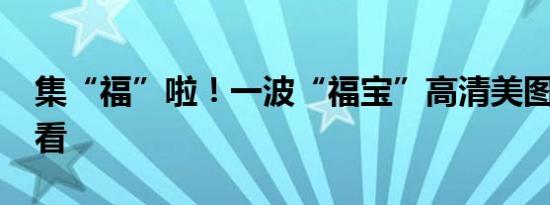 集“福”啦！一波“福宝”高清美图抢“鲜”看