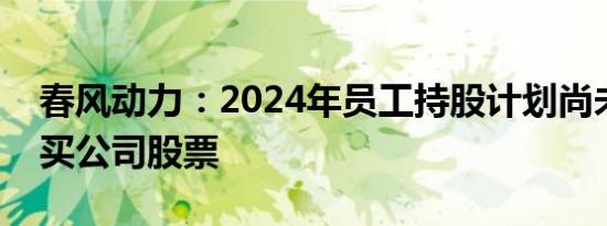 春风动力：2024年员工持股计划尚未开始购买公司股票