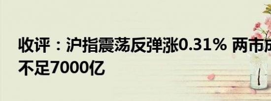 收评：沪指震荡反弹涨0.31% 两市成交金额不足7000亿