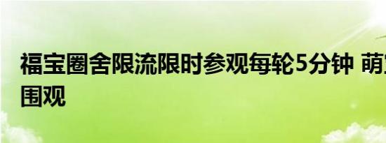 福宝圈舍限流限时参观每轮5分钟 萌宝首秀引围观