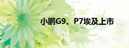 小鹏G9、P7埃及上市