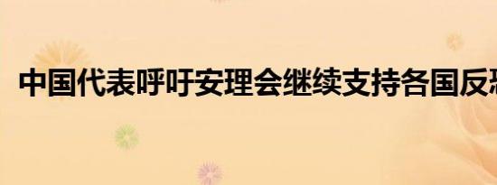 中国代表呼吁安理会继续支持各国反恐努力