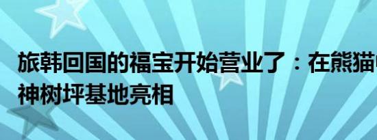 旅韩回国的福宝开始营业了：在熊猫中心卧龙神树坪基地亮相