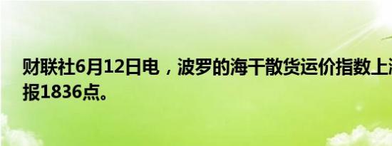 财联社6月12日电，波罗的海干散货运价指数上涨0.27%，报1836点。