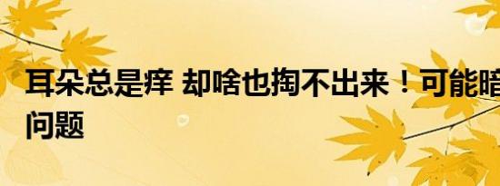 耳朵总是痒 却啥也掏不出来！可能暗示这5种问题