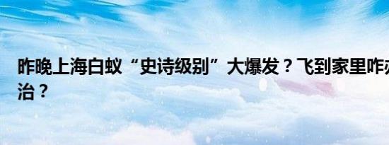 昨晚上海白蚁“史诗级别”大爆发？飞到家里咋办？如何防治？