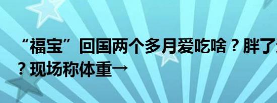 “福宝”回国两个多月爱吃啥？胖了还是瘦了？现场称体重→