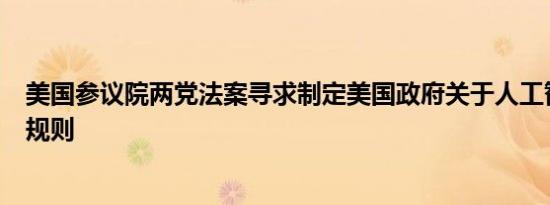 美国参议院两党法案寻求制定美国政府关于人工智能的使用规则