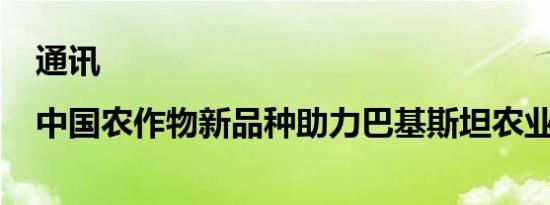 通讯|中国农作物新品种助力巴基斯坦农业升级