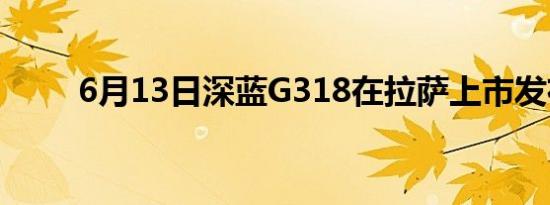 6月13日深蓝G318在拉萨上市发布