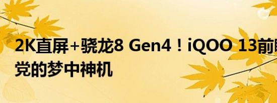 2K直屏+骁龙8 Gen4！iQOO 13前瞻：直屏党的梦中神机