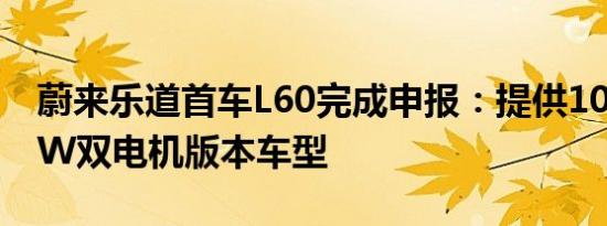 蔚来乐道首车L60完成申报：提供100/240kW双电机版本车型