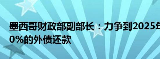 墨西哥财政部副部长：力争到2025年减少100%的外债还款