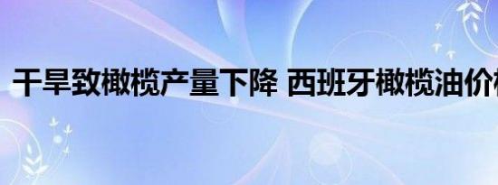 干旱致橄榄产量下降 西班牙橄榄油价格飙升