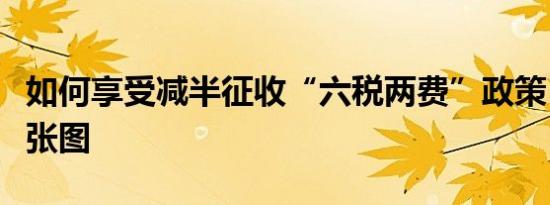 如何享受减半征收“六税两费”政策？收好这张图