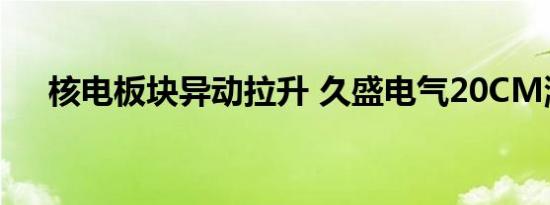 核电板块异动拉升 久盛电气20CM涨停