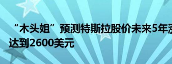 “木头姐”预测特斯拉股价未来5年涨12倍半达到2600美元