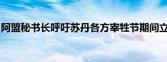 阿盟秘书长呼吁苏丹各方宰牲节期间立即停战