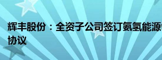 辉丰股份：全资子公司签订氨氢能源领域合作协议