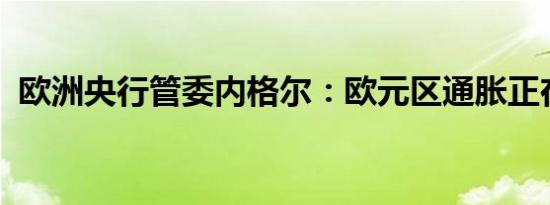 欧洲央行管委内格尔：欧元区通胀正在回落