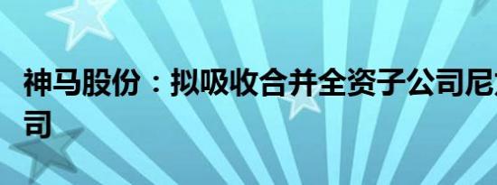 神马股份：拟吸收合并全资子公司尼龙投资公司