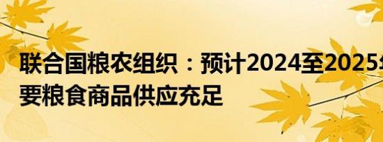 联合国粮农组织：预计2024至2025年全球主要粮食商品供应充足