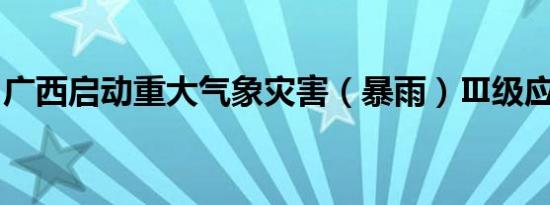 广西启动重大气象灾害（暴雨）Ⅲ级应急响应