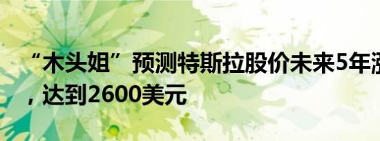 “木头姐”预测特斯拉股价未来5年涨12倍半，达到2600美元