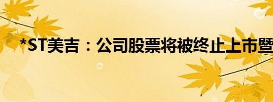 *ST美吉：公司股票将被终止上市暨停牌