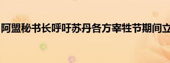 阿盟秘书长呼吁苏丹各方宰牲节期间立即停战