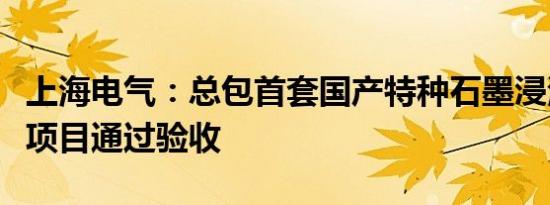 上海电气：总包首套国产特种石墨浸渍生产线项目通过验收