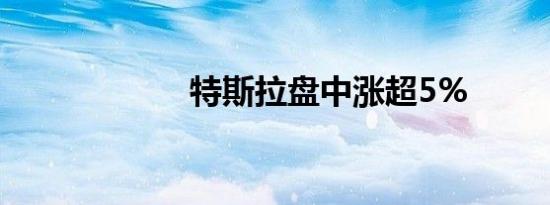 特斯拉盘中涨超5%