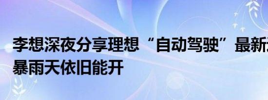 李想深夜分享理想“自动驾驶”最新进展：大暴雨天依旧能开