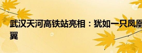 武汉天河高铁站亮相：犹如一只凤凰 六片羽翼