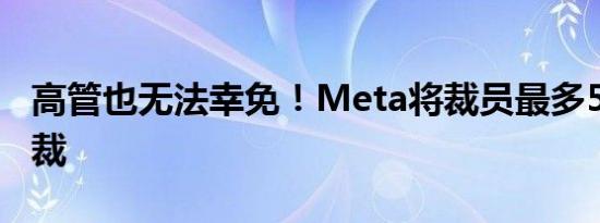 高管也无法幸免！Meta将裁员最多50名副总裁