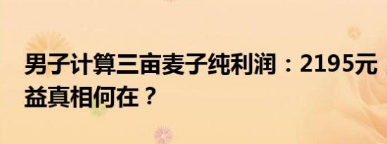 男子计算三亩麦子纯利润：2195元，种粮效益真相何在？