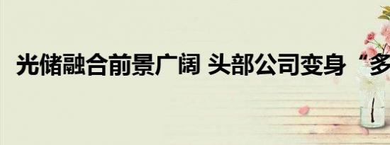 光储融合前景广阔 头部公司变身“多面手”