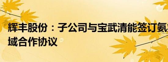 辉丰股份：子公司与宝武清能签订氨氢能源领域合作协议