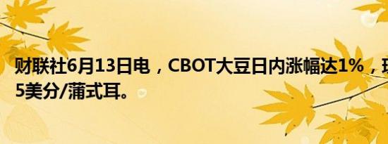 财联社6月13日电，CBOT大豆日内涨幅达1%，现报1189.25美分/蒲式耳。